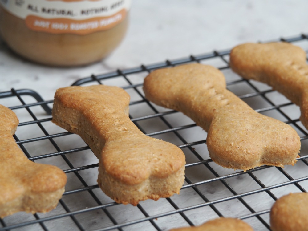 close up of peanut butter dog biscuits