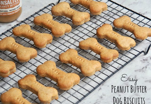 Easy Peanut Butter Dog Biscuits