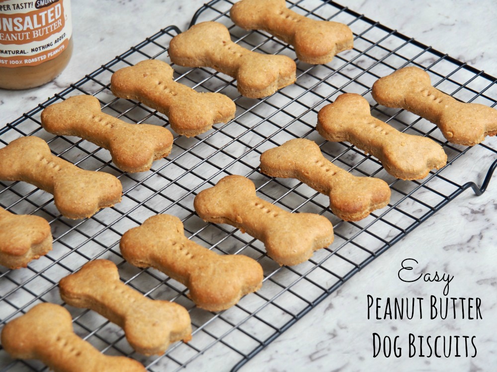 bone shaped dog biscuits on cooling rack