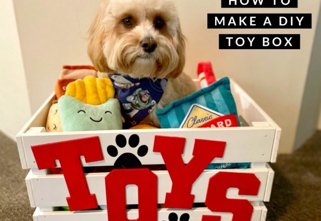 DIY How to make a dog toy box