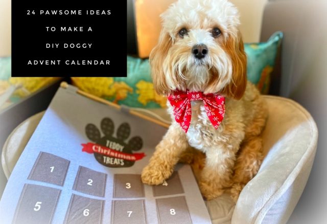 24 Pawsome Ideas to Make a DIY Doggy Advent Calendar