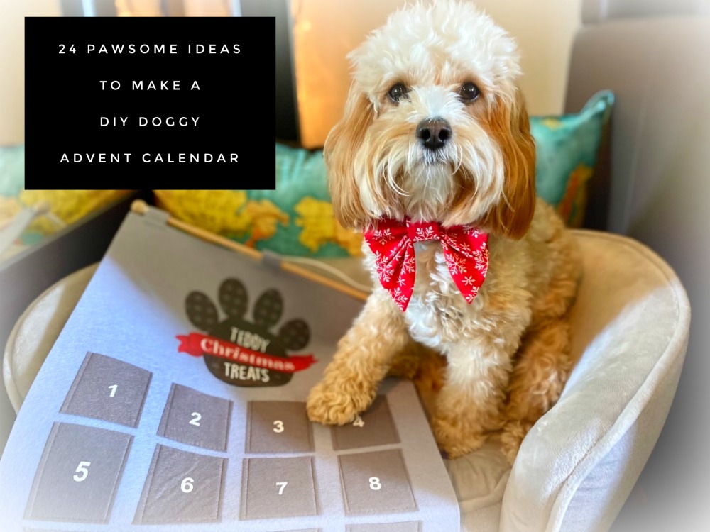 dog with paw on cloth advent calendar