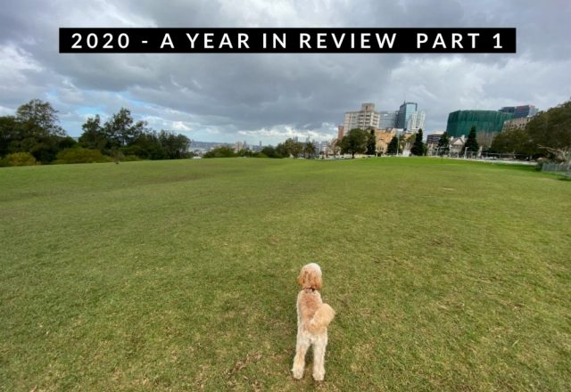 2020 – A Year in Review Part 1