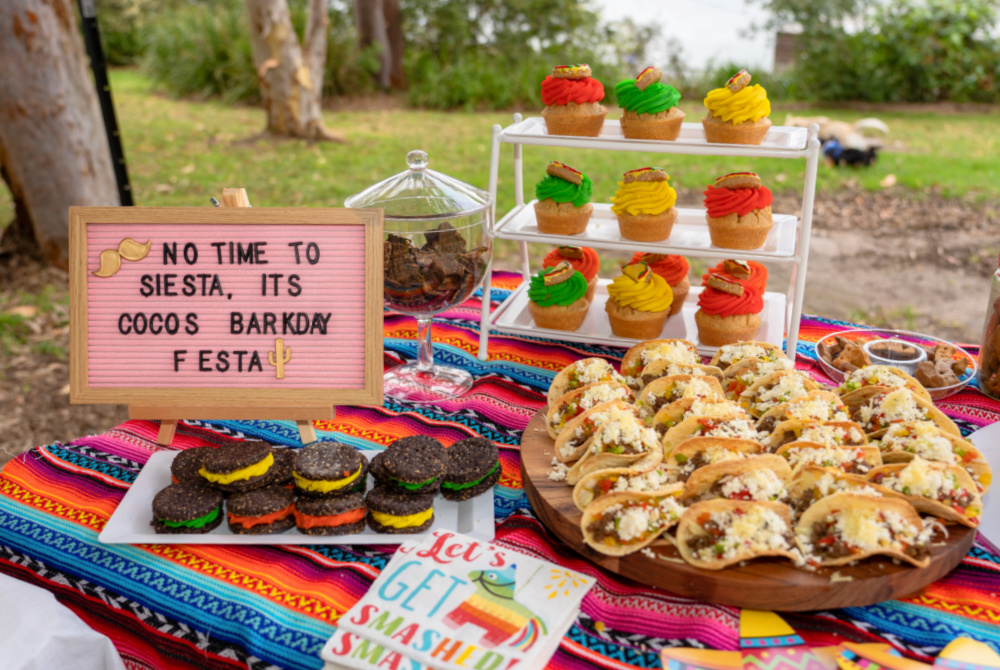 doggy tacos and other mexican themed dog party food