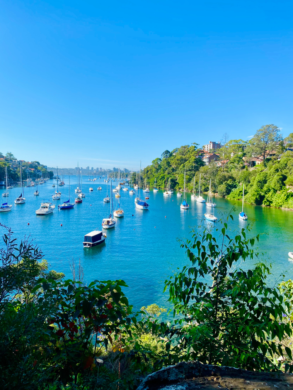 harbour views with lush green trees and boats on water