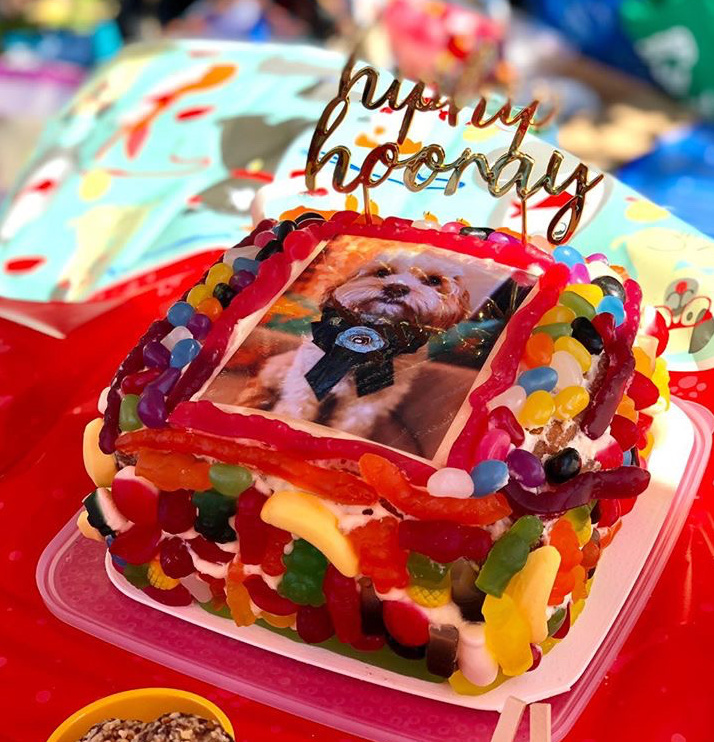 photo of a dog on top of cake covered with candy