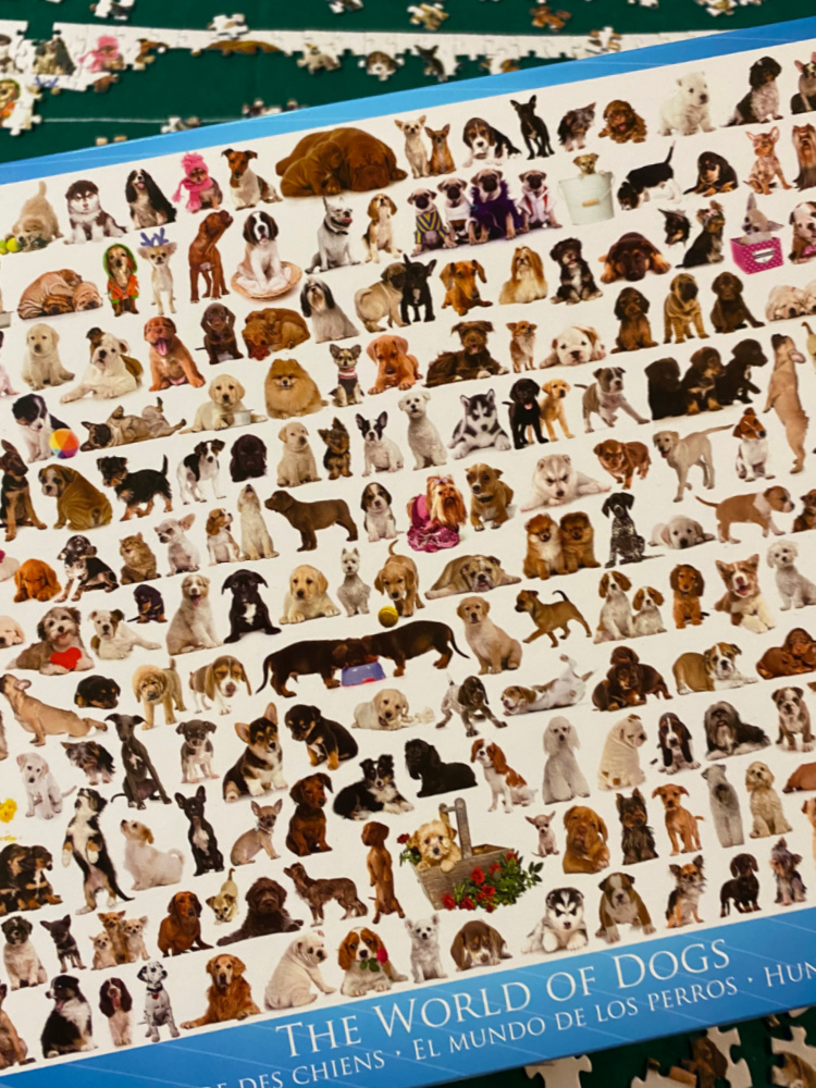 dog breeds puzzle