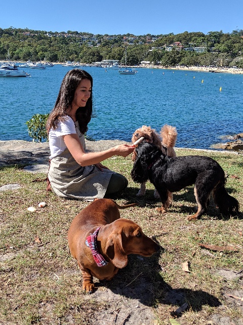 woman sitting on beach feeding dogs