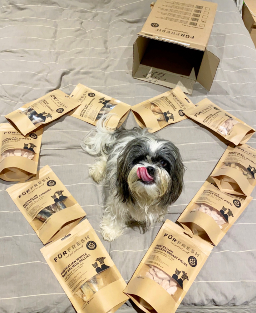 shitzu sitting in the middle of furfresh packets arranged in a heart shape