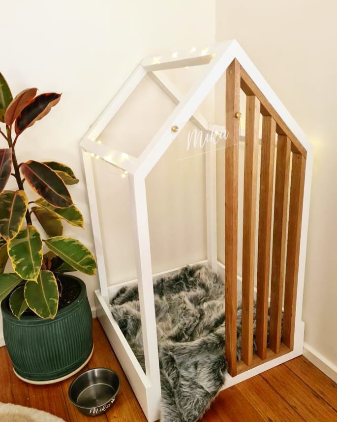 indoor dog house made of glass