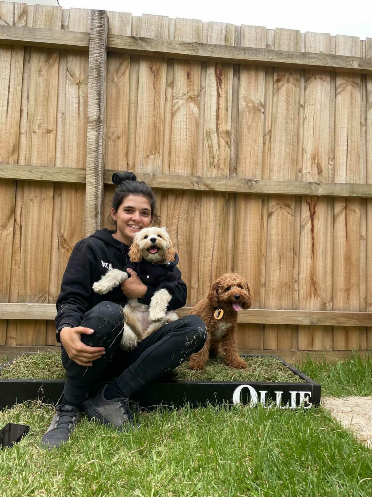 woman cuddling cavoodle