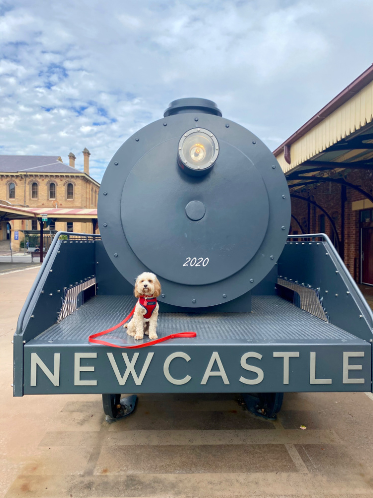 dog sitting on old locomotive