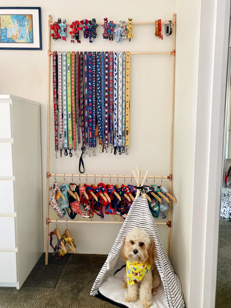 cavoodle sitting a teepee by a dog accessory storage ladder