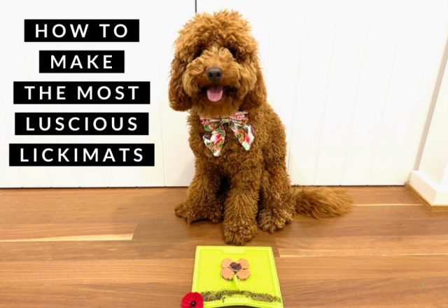 How to Make the Most Luscious Lickimats