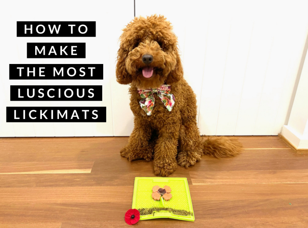 Lick Mat Guide: What They Are, How to Use Them, and Why They're Great (+ Lick  Mat Filler Ideas)