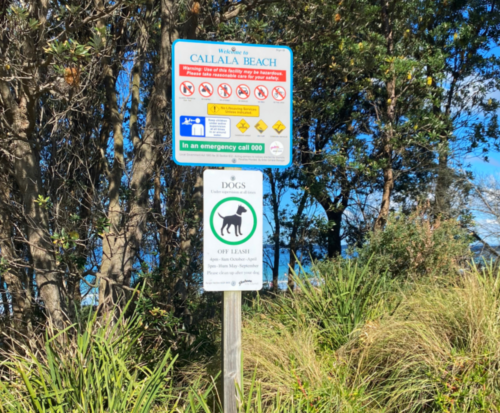 sign outlining dog rules at beach