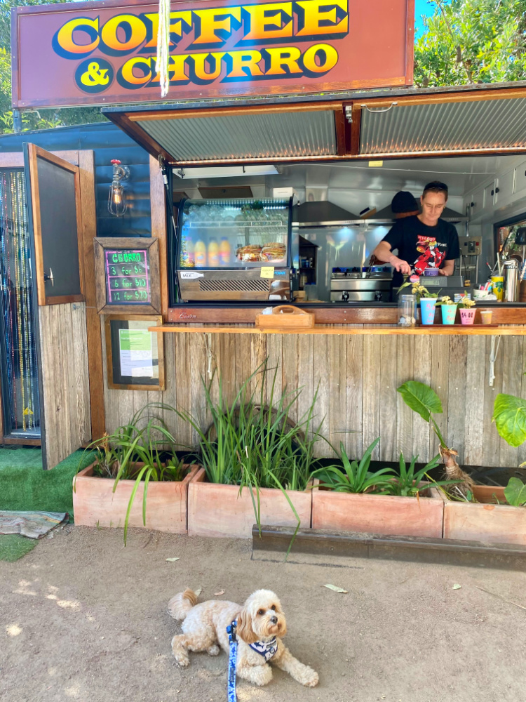 dog lying in front of a coffee and churros truck