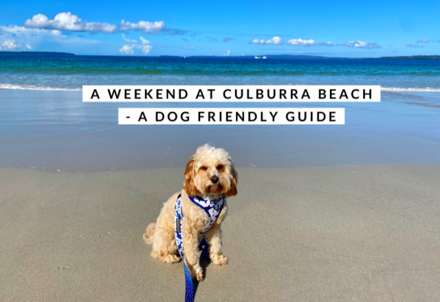 A Weekend in Culburra, NSW – A Dog Friendly Guide