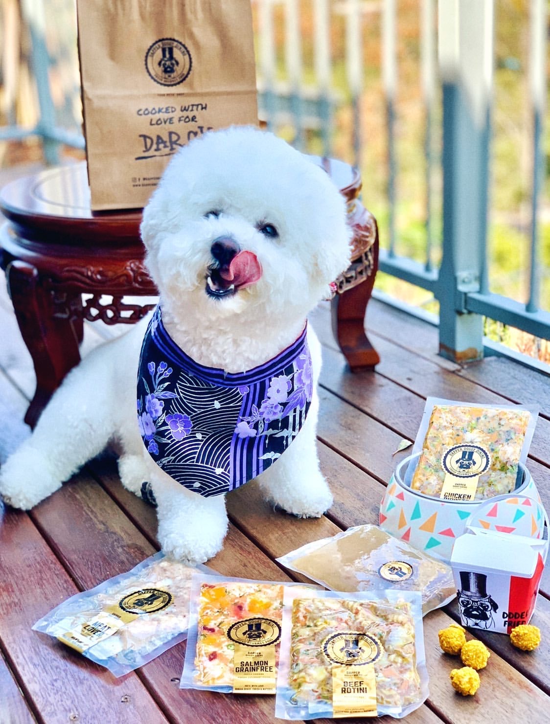 fluffy white dog sitting next to dapper doggy dining treats