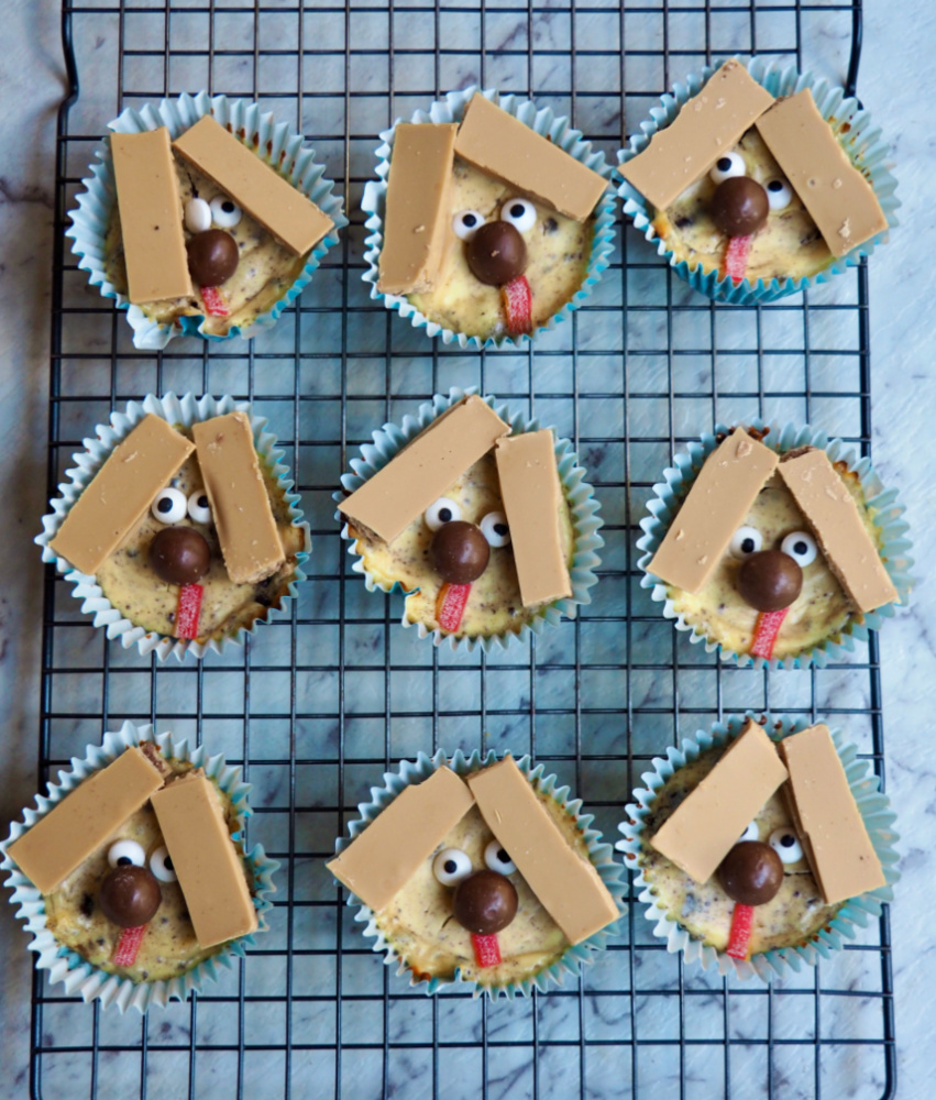 mini cheesecakes decorated with kitkats to look like dogs