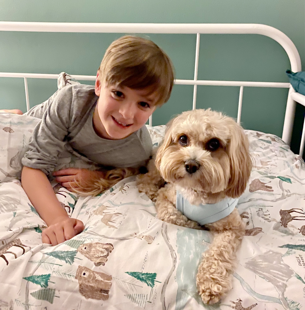 A boy and a cavoodle lying on a bed