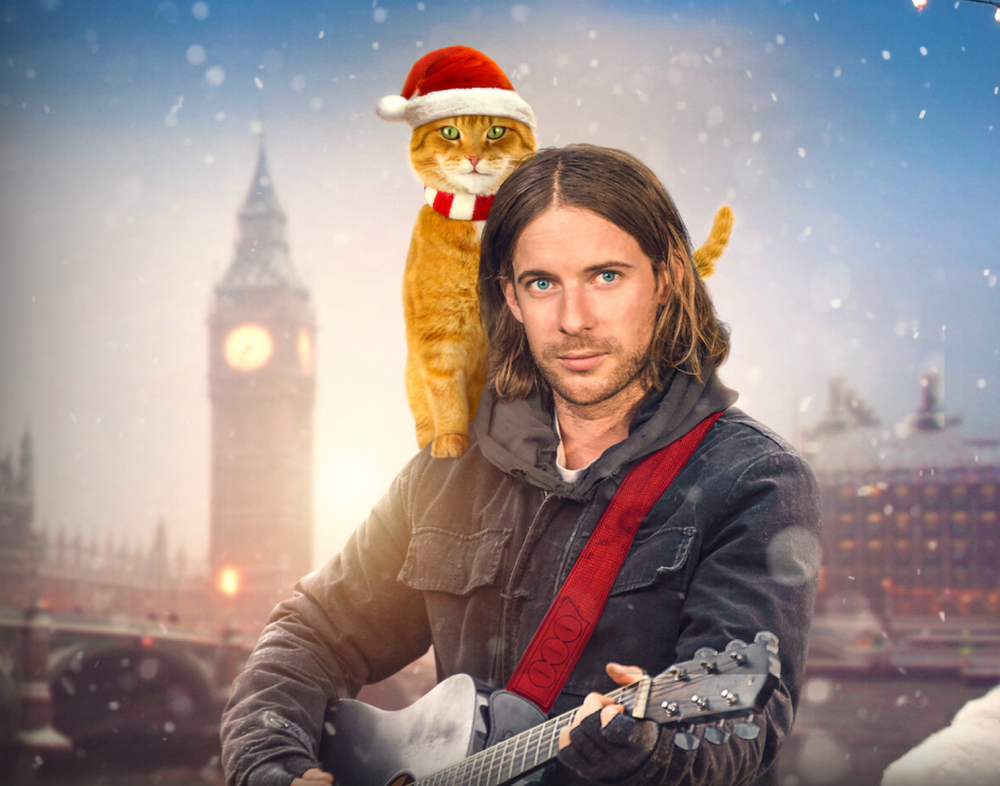a picture of a man playing a guitar with a ginger cat on his shoulder