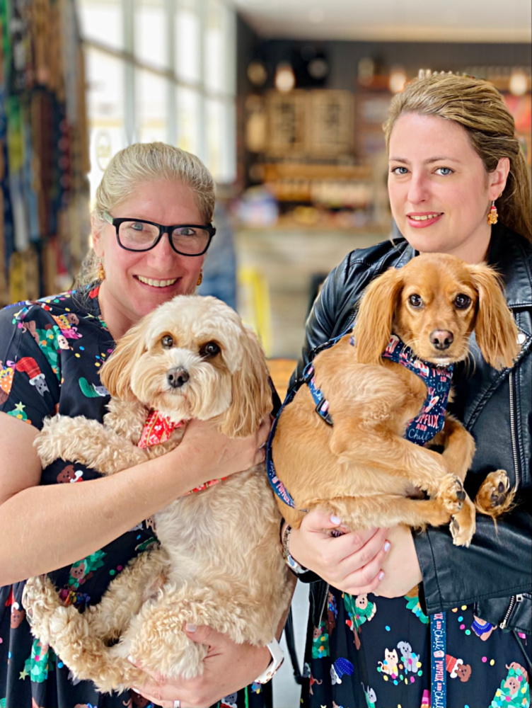 two women wearing matching Christmas dresses each holding a cavoodle