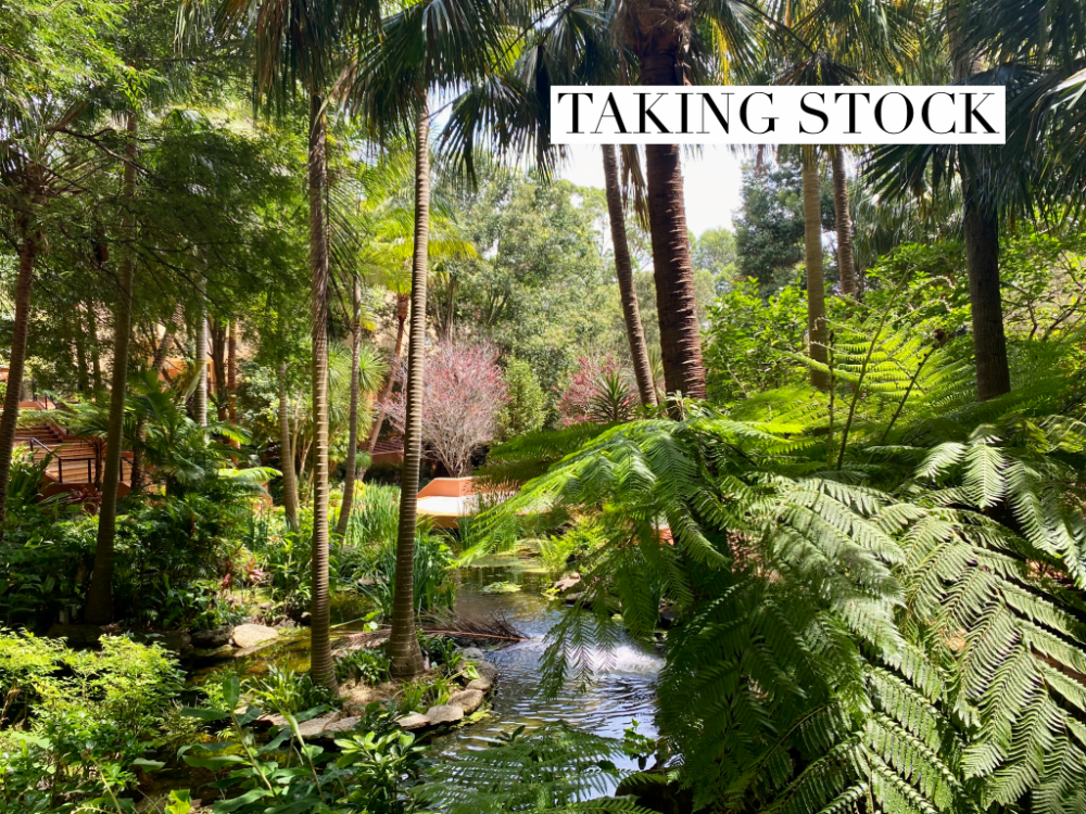 tropical water garden