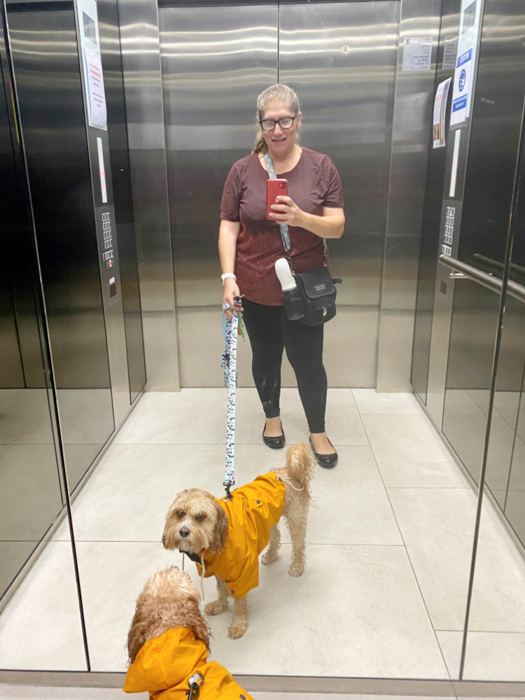 woman and a dog wearing a yellow raincoat taking a selfie in a mirrored lift