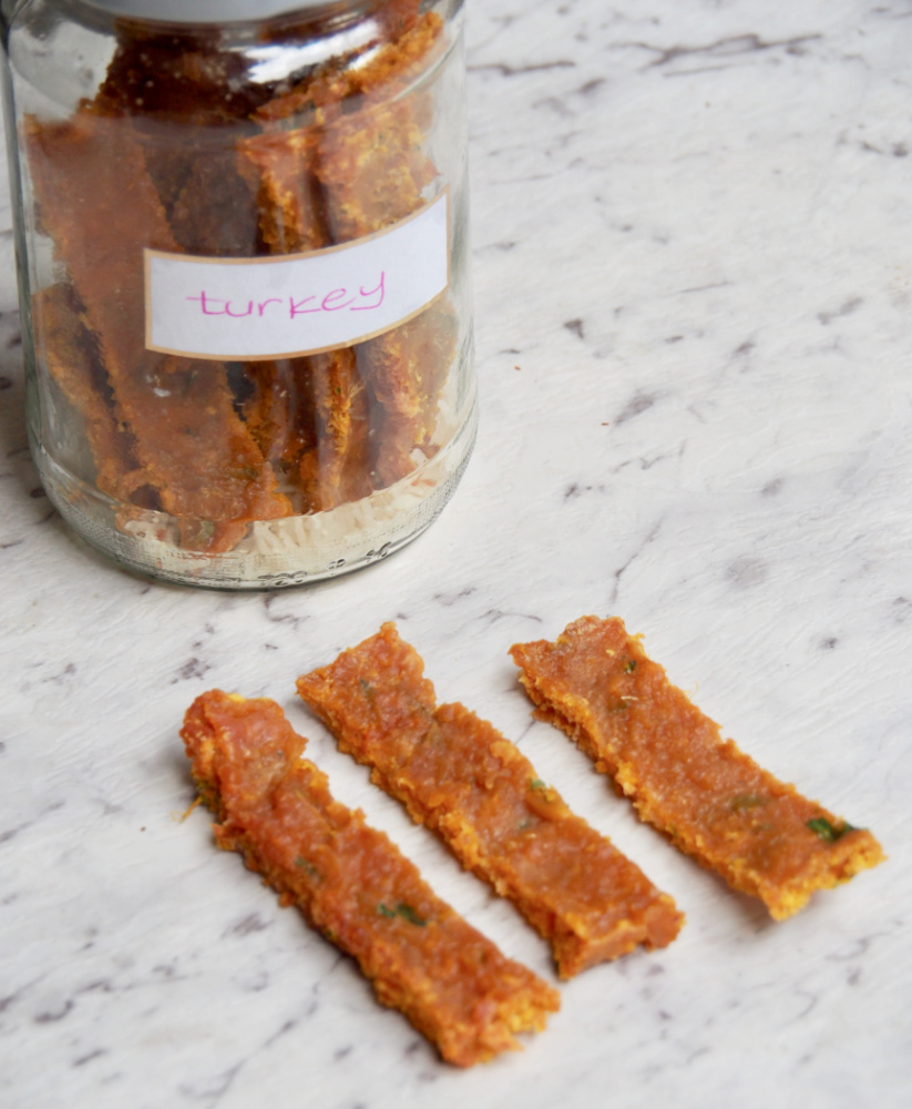 Turkey Pumpkin Dog Treats - Pawsome Recipes