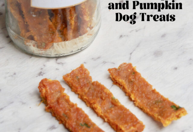 Turkey and Pumpkin Sticks – Dog Treat Recipe