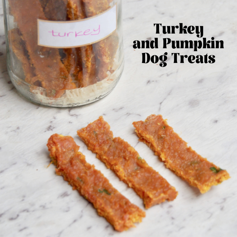 jar of turkey and pumpkin dog treats and three treat strips in front