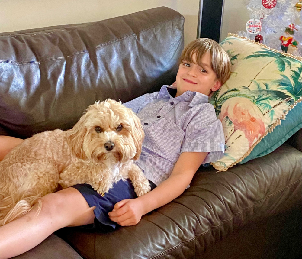 boy wearing navy school uniform lying on brown leather sofa with cavoodle on his lap