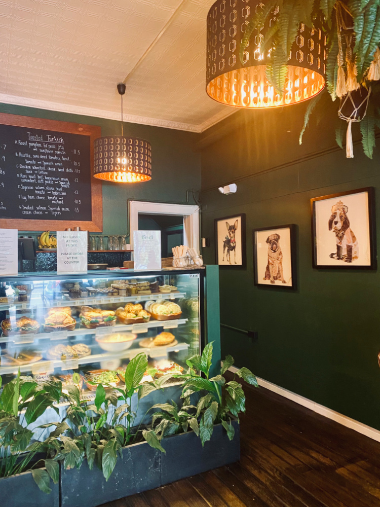 inside a cafe with a display fridge of cakes, dark walls with pictures of different dog breeds