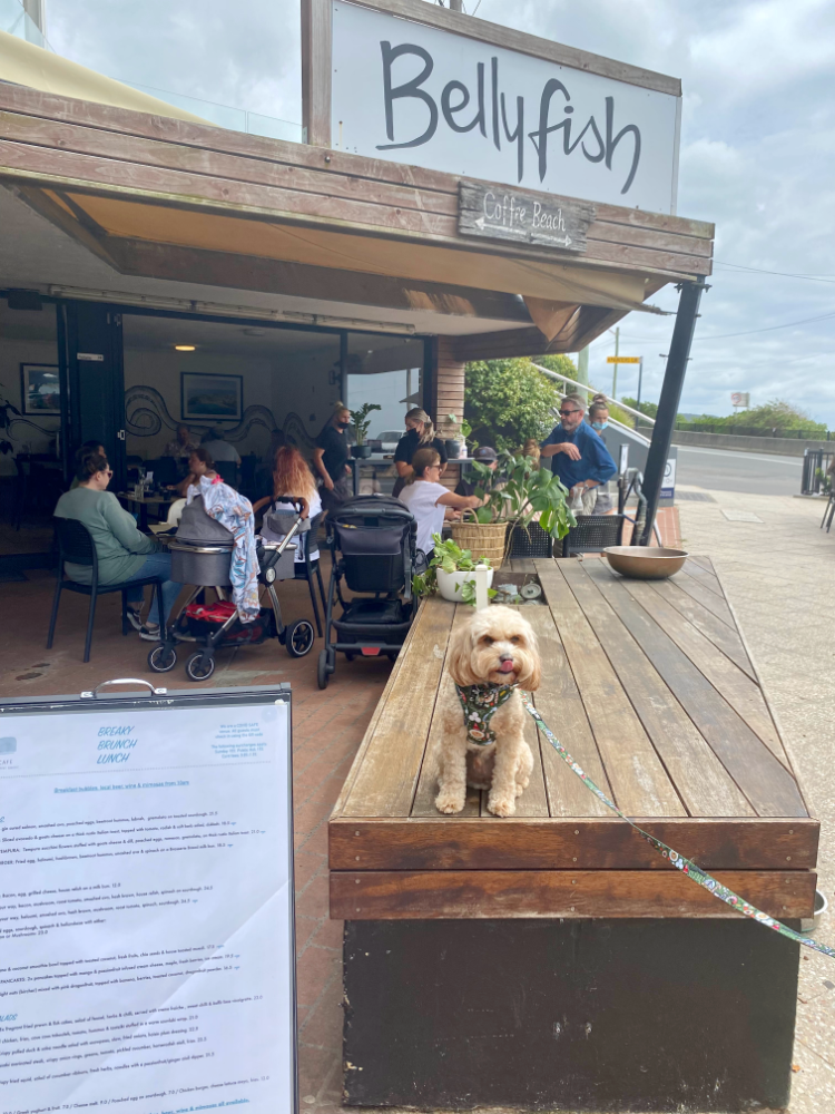 dog licking his lips and sitting on a bench next to a cafe menu. There are diners in the background