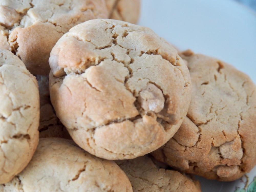 close up of peanut butter chip cookies