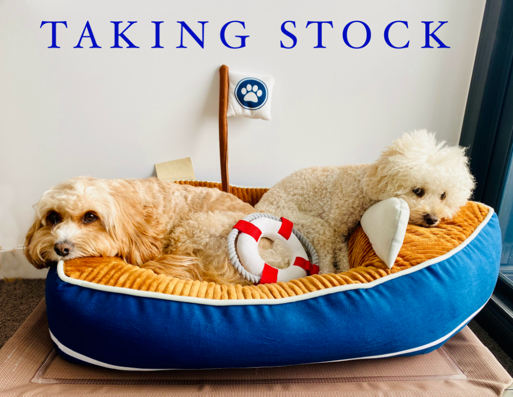 two fluffy dogs sitting in a boat shaped dog bed