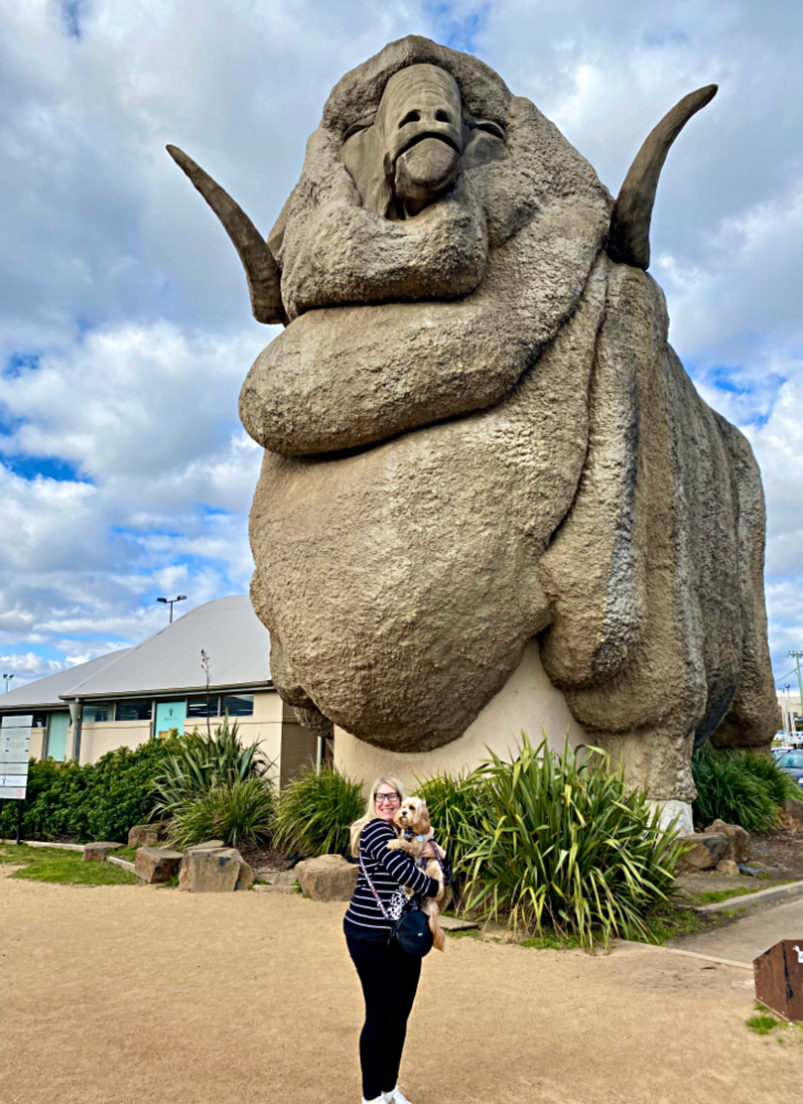 woman holding a small dog in her arms being dwarfed by the big merino
