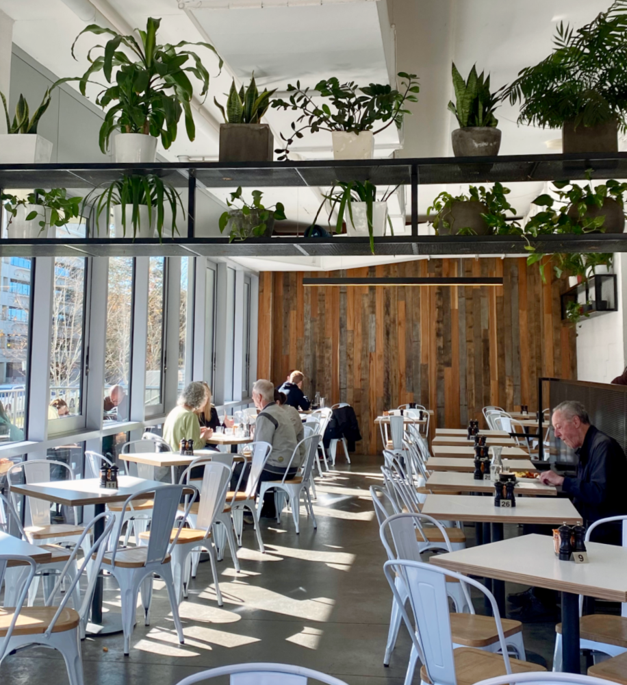 inside light airy cafe with white and wood fit out and lots of plants