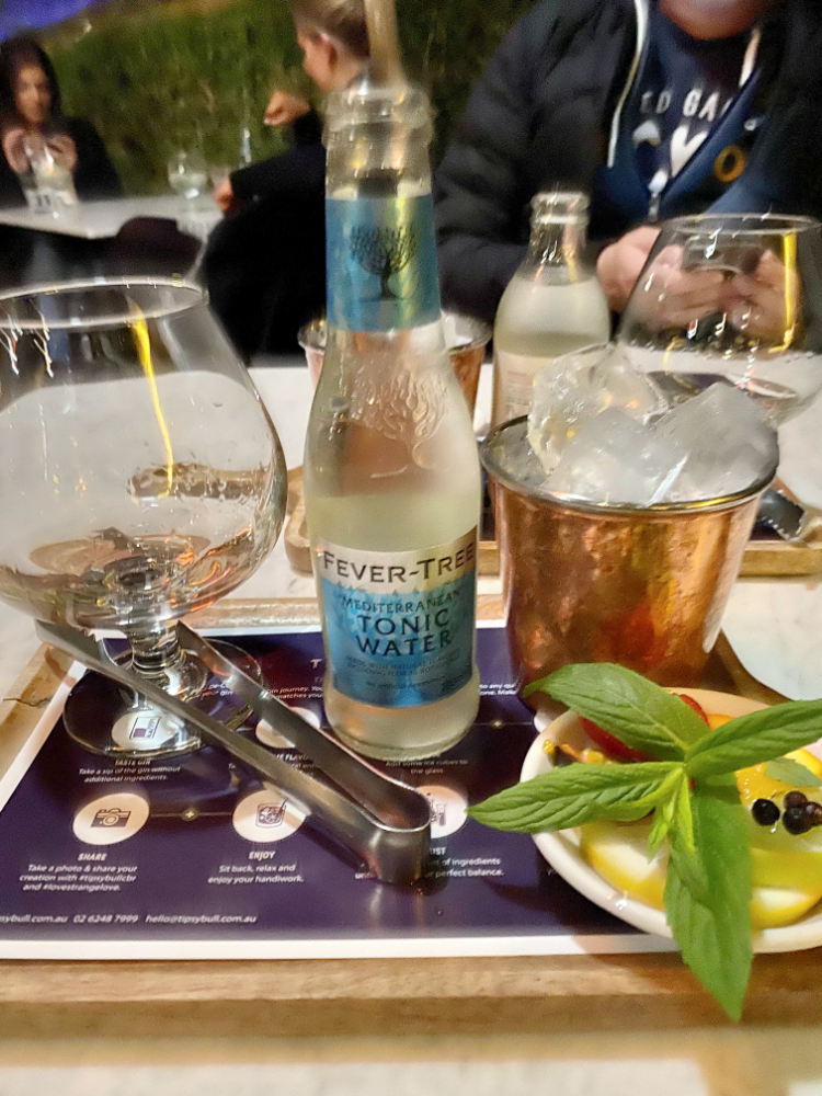 paddle of gin with a large glass with a shot of gin, a bottle of tonic water, a small bucket of ice and in the bottom right corner some juniper berries, fruit slices and mint leaves