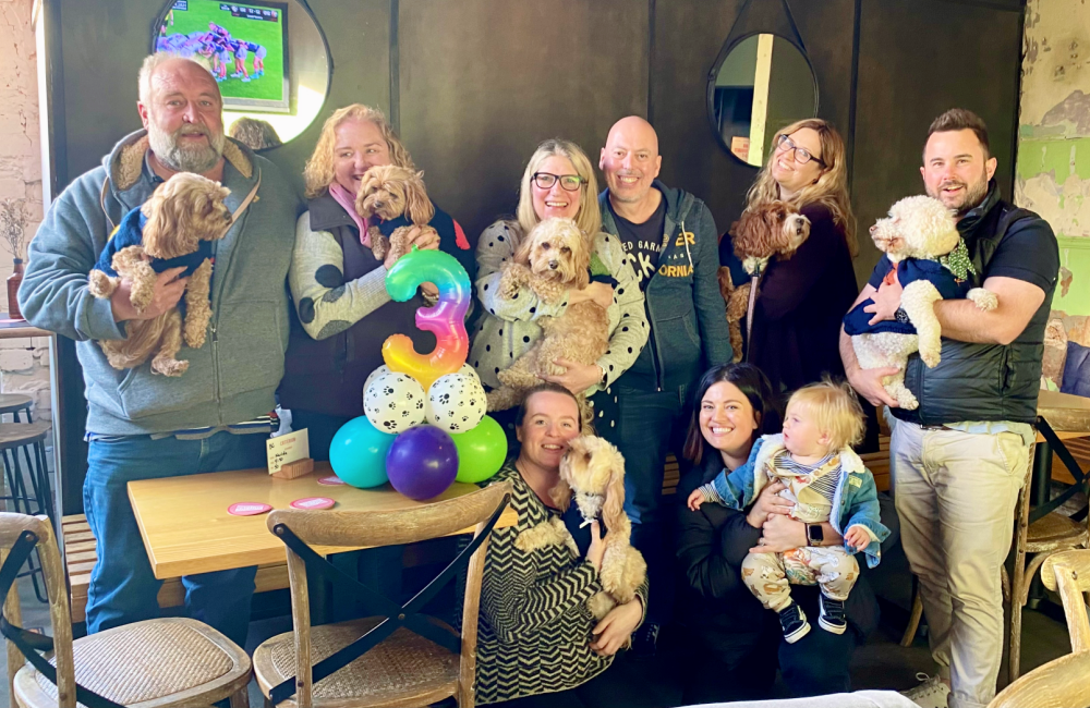 a group of people each holding a cavoodle next to a number 3 balloon