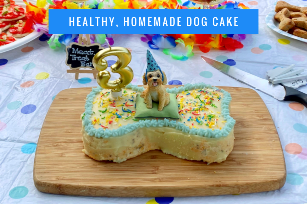 can you give a dog cake