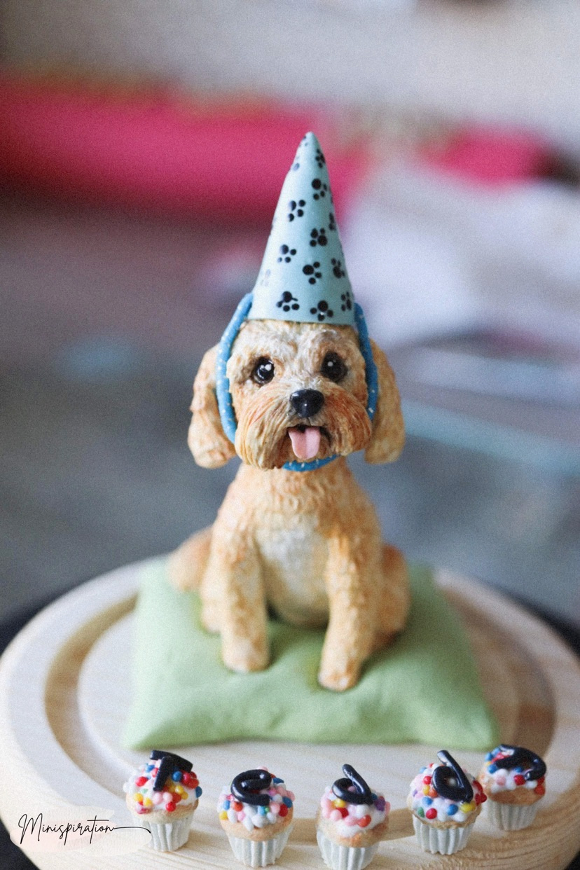 a cake topper with a cavoodle wearing a blue party hat sitting on a green cushion