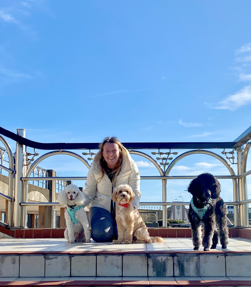 a woman sitting with 3 small dogs, 1 blonde, 1 white and 1 black. The woman is kneeling down with the dogs with blue skies behind them.