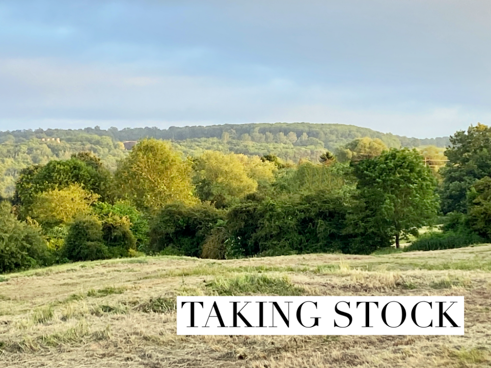 looking out over a field to a line of woods and behind it a green hill