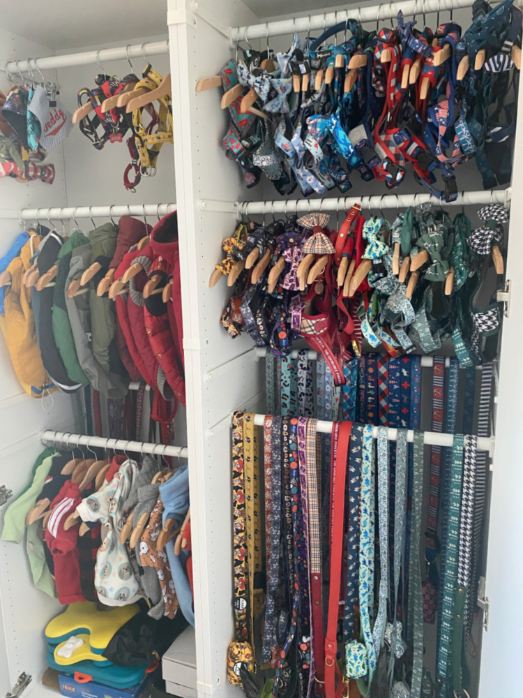 a wardrobe for dogs full of harnesses, leads, collars and dog clothes