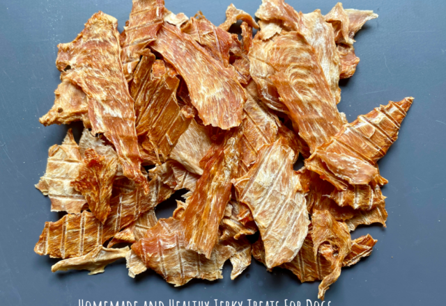 Homemade and Healthy Jerky Treats for Dogs
