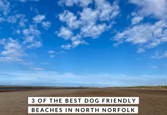 Pick of the Pups –  Three of the Best Dog Friendly Beaches in North Norfolk