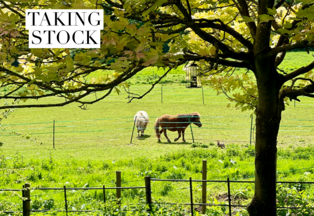 Taking Stock – May 2024